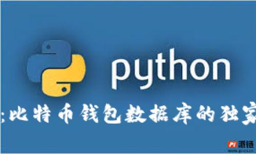 专家分享：比特币钱包数据库的独家秘诀解析