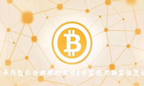 比特币钱包文件损坏打不开？专家教你独家恢复秘诀！