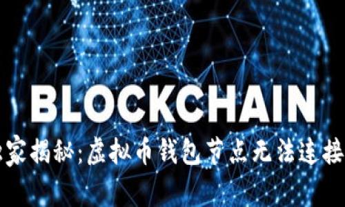 专家独家揭秘：虚拟币钱包节点无法连接的秘诀