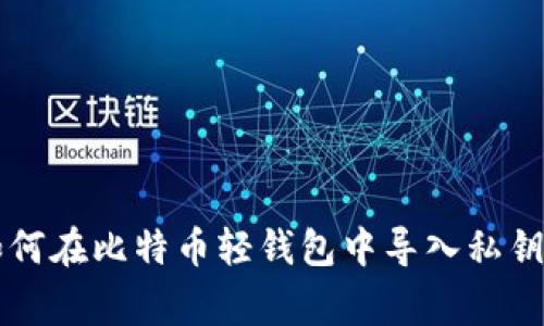 专家教你如何在比特币轻钱包中导入私钥的独家秘诀