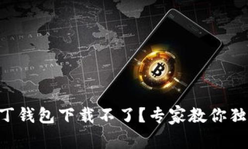 区块链阿拉丁钱包下载不了？专家教你独家解决秘诀！