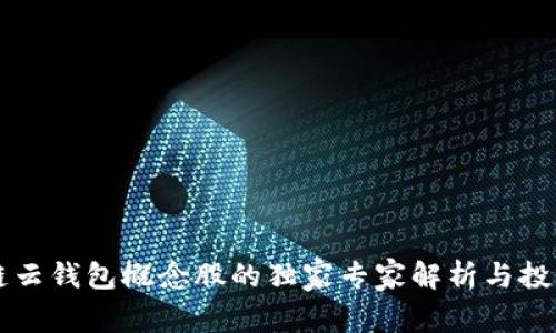 区块链云钱包概念股的独家专家解析与投资秘诀