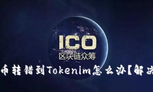专家独家揭秘：币转错到Tokenim怎么办？解决方案一网打尽！