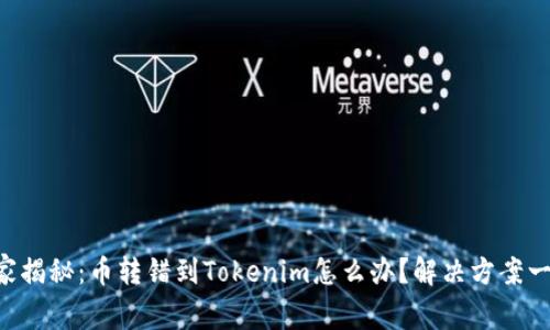 专家独家揭秘：币转错到Tokenim怎么办？解决方案一网打尽！