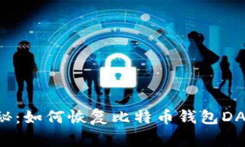 专家独家揭秘：如何恢复比特币钱包DAT文件的秘诀