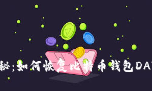 专家独家揭秘：如何恢复比特币钱包DAT文件的秘诀