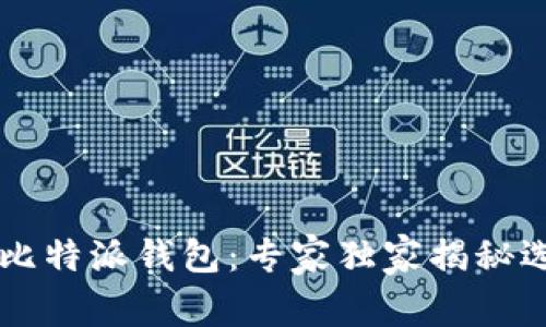 币安与比特派钱包：专家独家揭秘选择秘诀