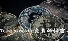 独家揭秘：Tokenimotc交易的