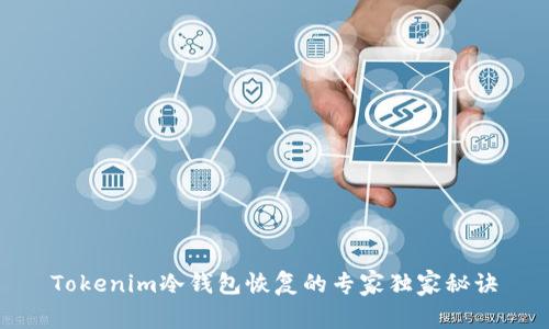 Tokenim冷钱包恢复的专家独家秘诀