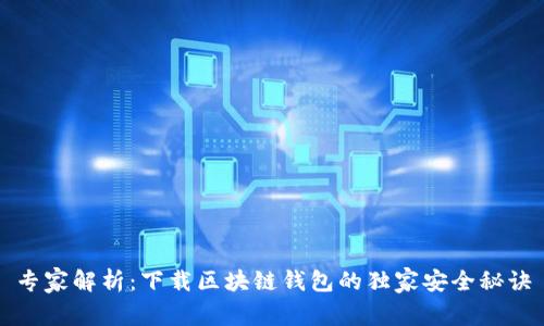 专家解析：下载区块链钱包的独家安全秘诀