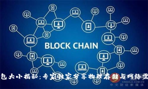 比特币钱包大小揭秘：专家独家分享物理存储与网络需求的秘诀