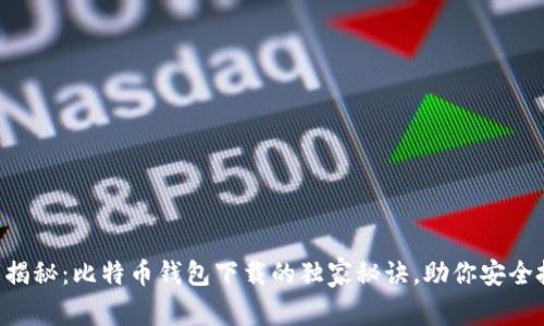 专家揭秘：比特币钱包下载的独家秘诀，助你安全投资！
