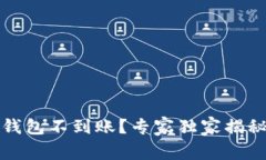 IM Token钱包不到账？专家独
