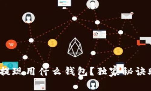 专家揭秘：比特币提现用什么钱包？独家秘诀助你选择最佳选项