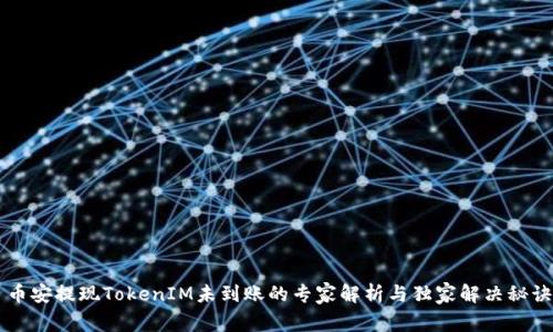 币安提现TokenIM未到账的专家解析与独家解决秘诀